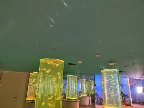 内蒙古海洋馆项目 项目照片 3